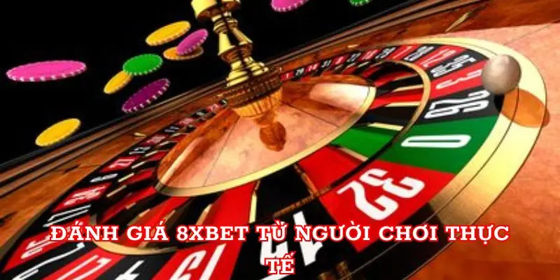 Đánh giá 8xbet từ người chơi thực tế